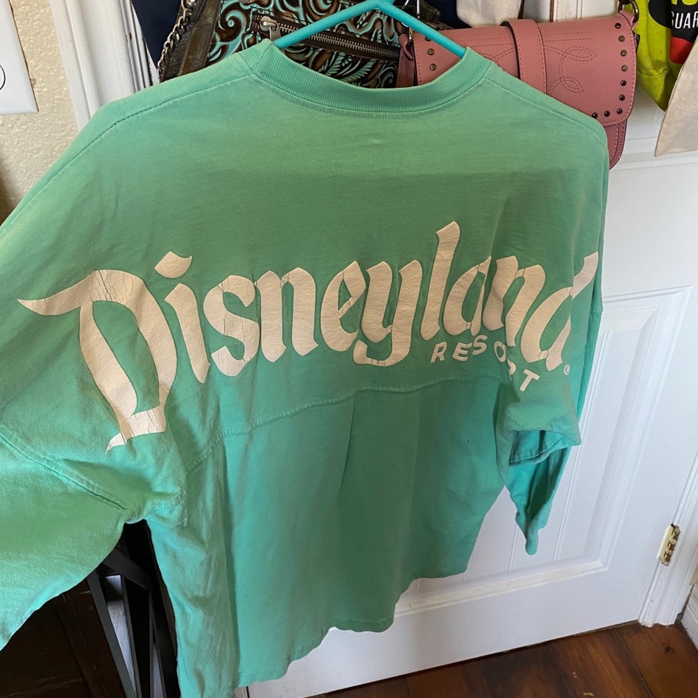 Disneyland Spirit jersey !